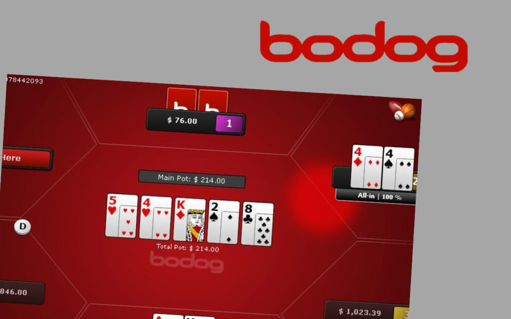 famous game type you can consider for gambling at Bodog betting app is poker