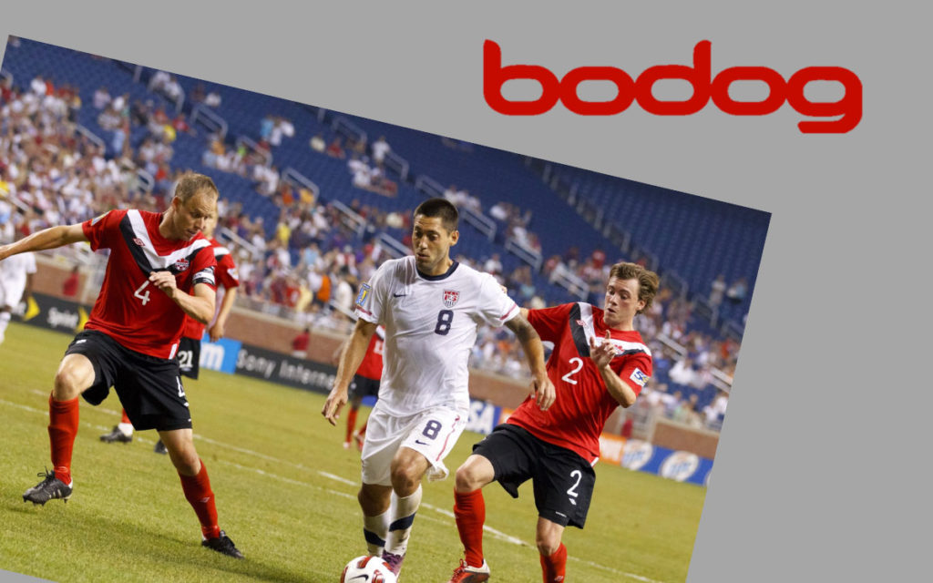 famous game type available on Bodog is sports betting